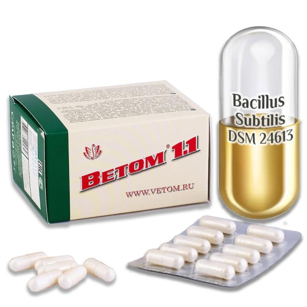 Vetom 1.1  capsule, 50 capsule
