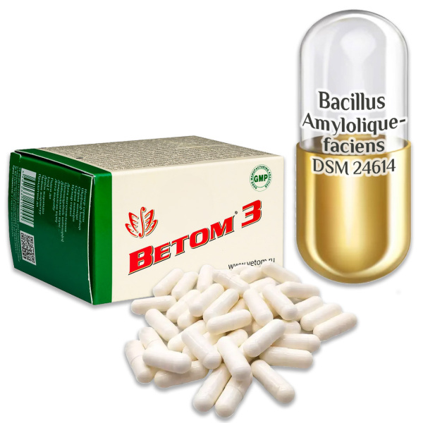 Vetom 3 capsule 50 comprimate