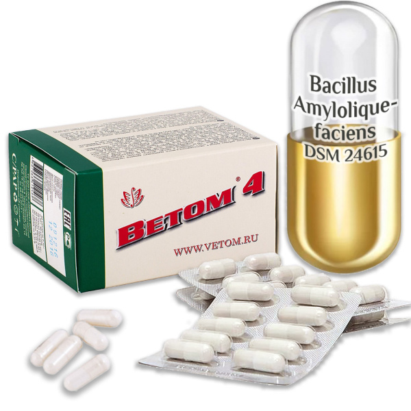 Vetom 4 capsule 50 comprimate